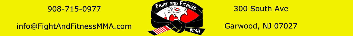 Fight and Fitness MMA